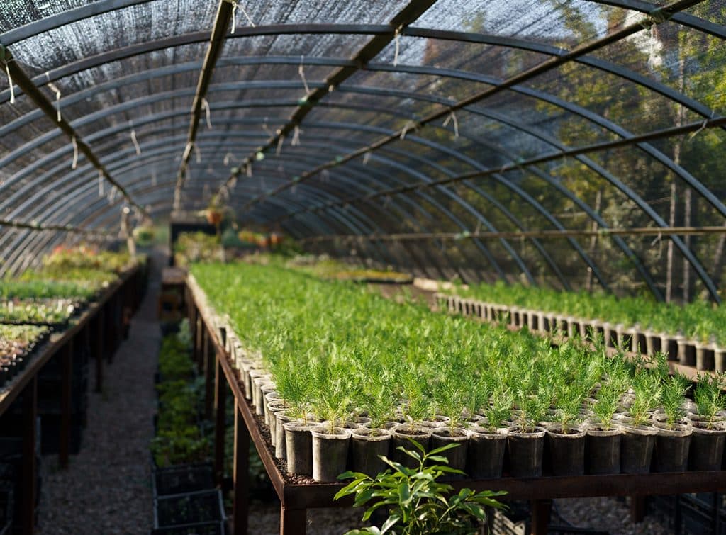 IoT evolving Agriculture Profitability & Yield
