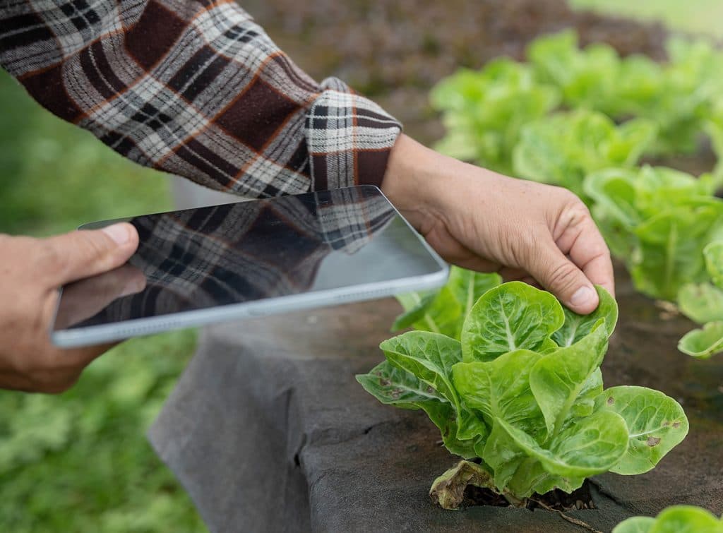 IoT In AGRICULTURE: The Top 5 Uses for Smart Farming